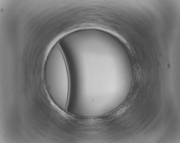 X0000080171527200612081039