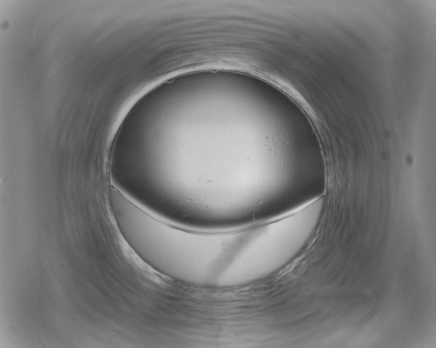 X0000080171532200612081039