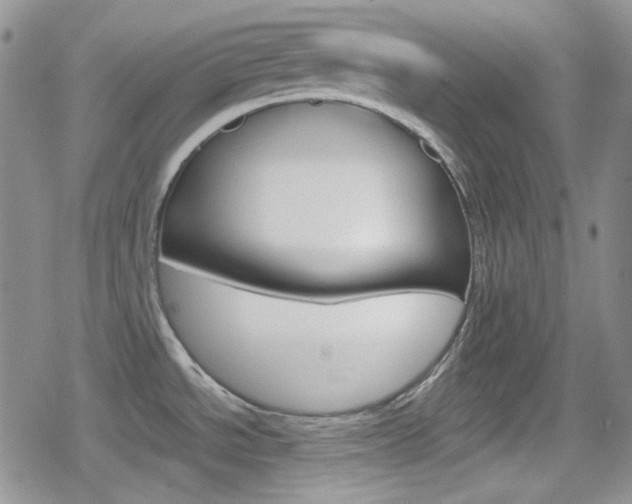 X0000080171534200612081039