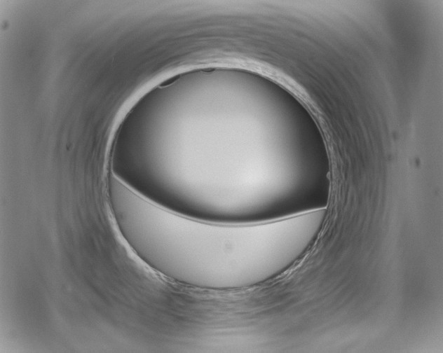 X0000080171536200612081039