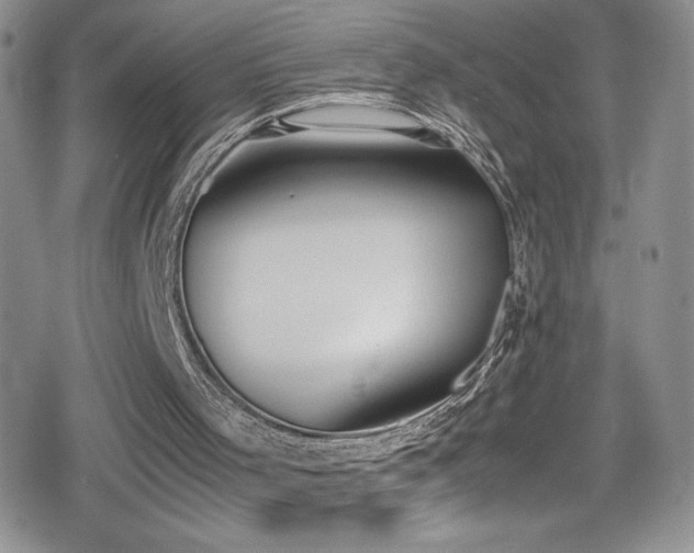 X0000080170001200612081412
