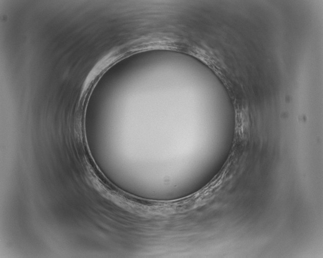 X0000080170004200612081412