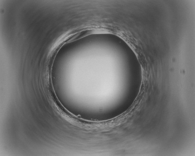 X0000080170005200612081412