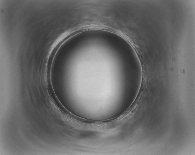 X0000080170008200612081412