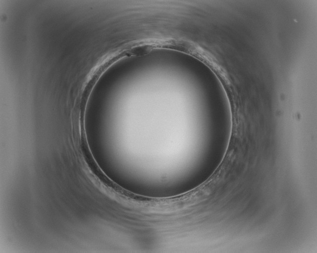 X0000080170011200612081412