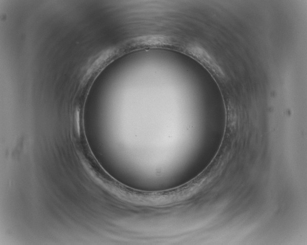 X0000080170014200612081412
