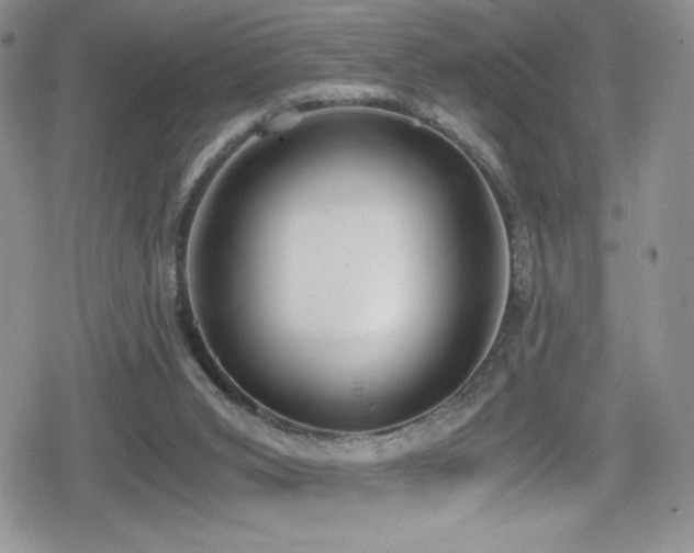 X0000080170015200612081412
