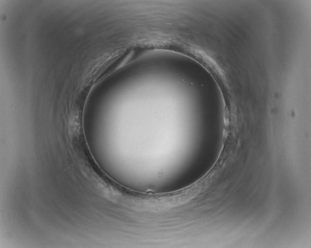 X0000080170017200612081412