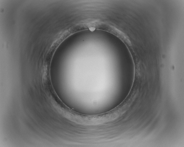 X0000080170018200612081412