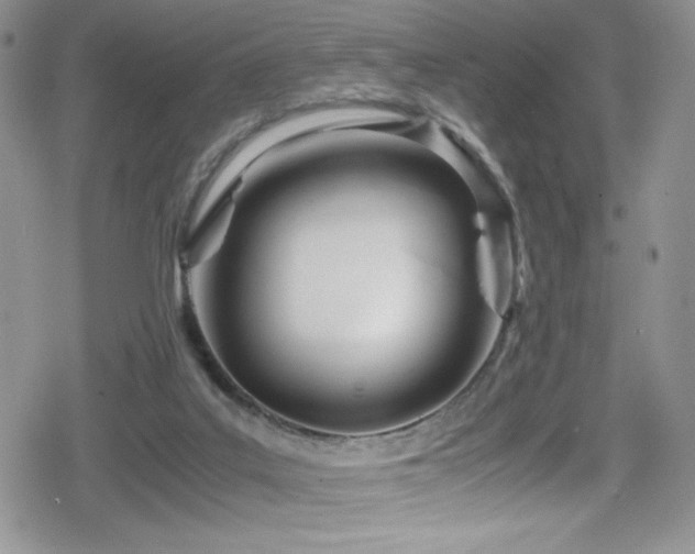 X0000080170019200612081412