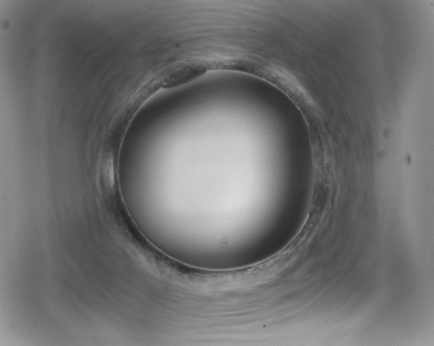 X0000080170021200612081412