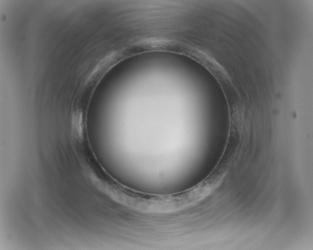 X0000080170024200612081412