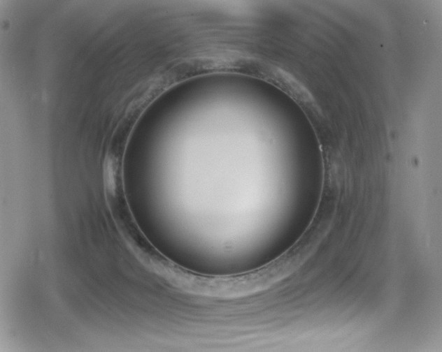 X0000080170026200612081412
