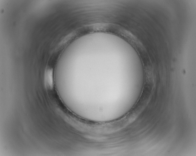 X0000080170028200612081412