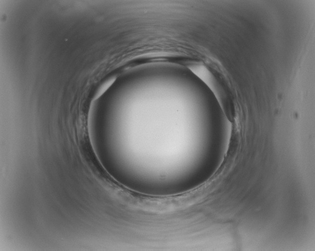 X0000080170029200612081412