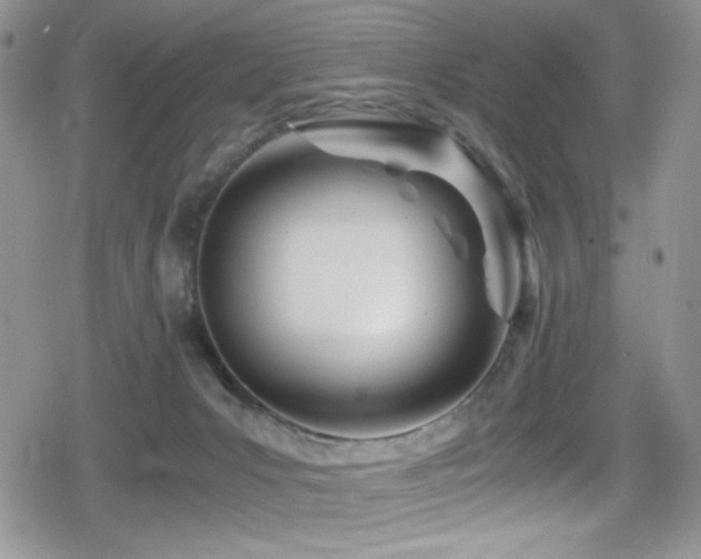 X0000080170031200612081412