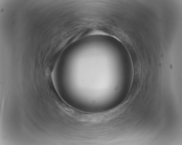 X0000080170033200612081412