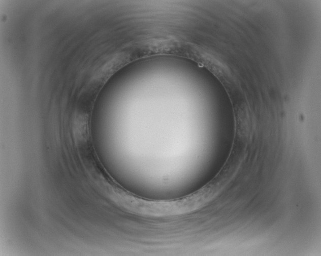 X0000080170034200612081412