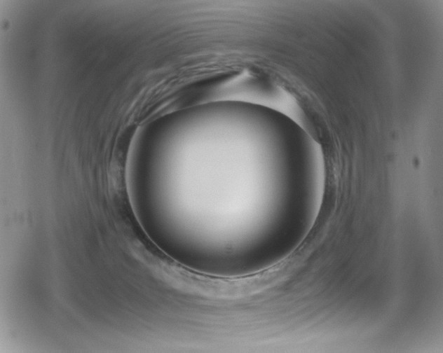 X0000080170035200612081412