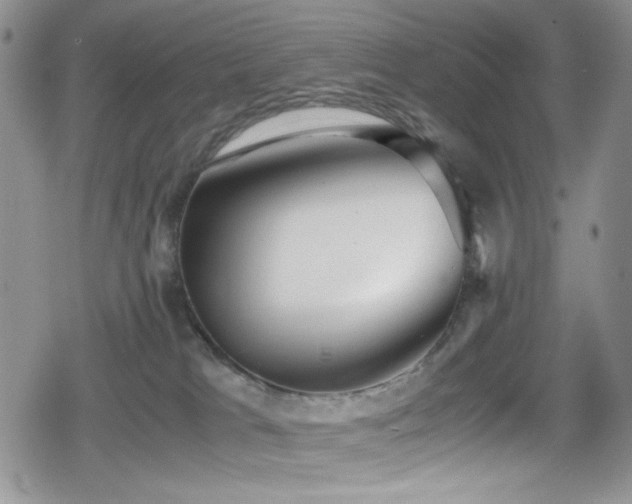 X0000080170037200612081412