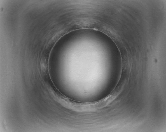 X0000080170040200612081412