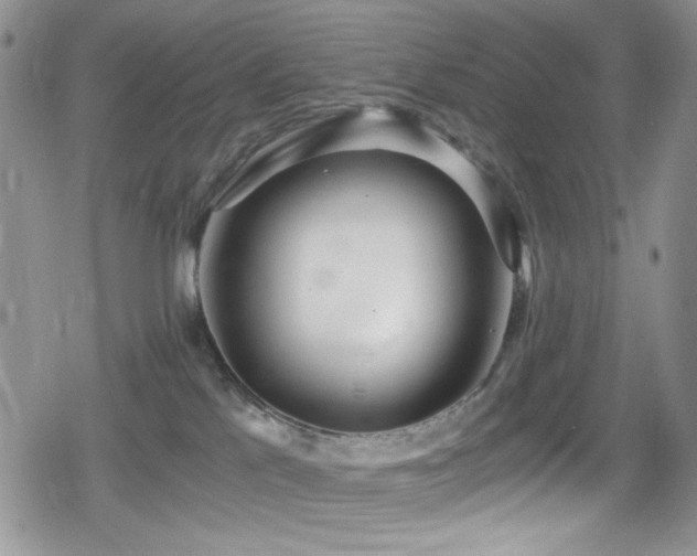 X0000080170041200612081412
