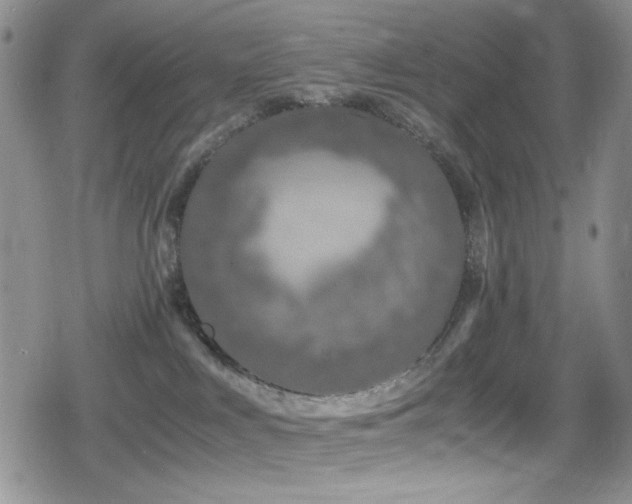 X0000080170043200612081411