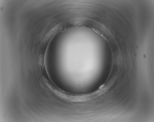 X0000080170044200612081411
