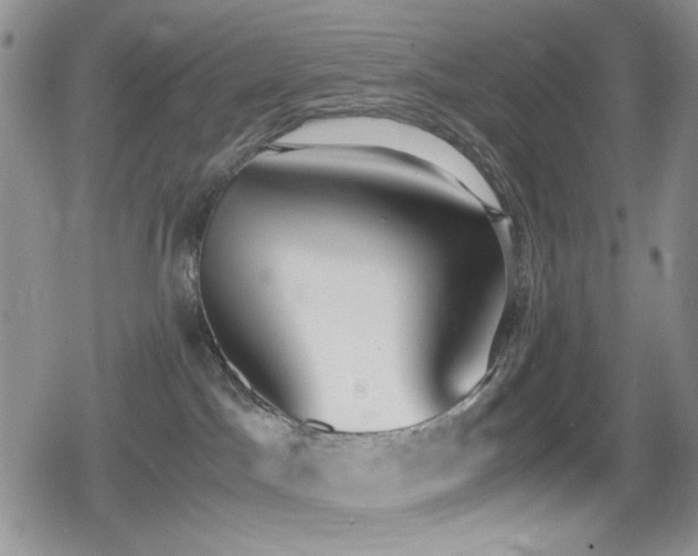 X0000080170045200612081411