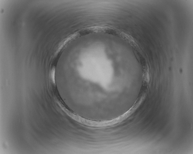 X0000080170047200612081411