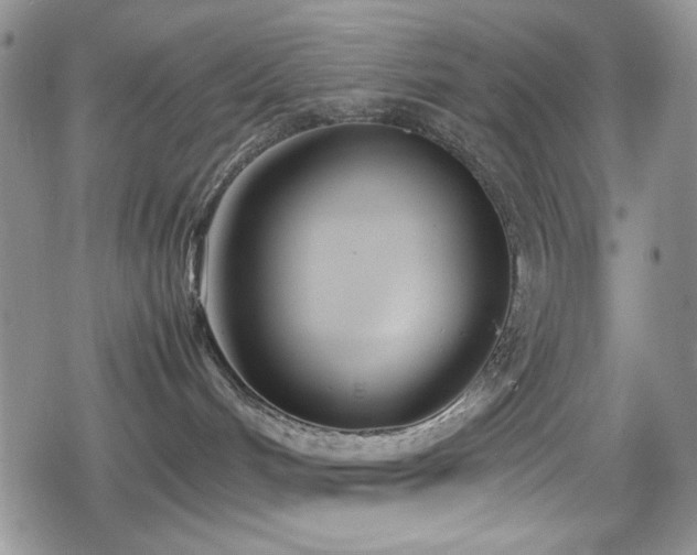 X0000080170048200612081411