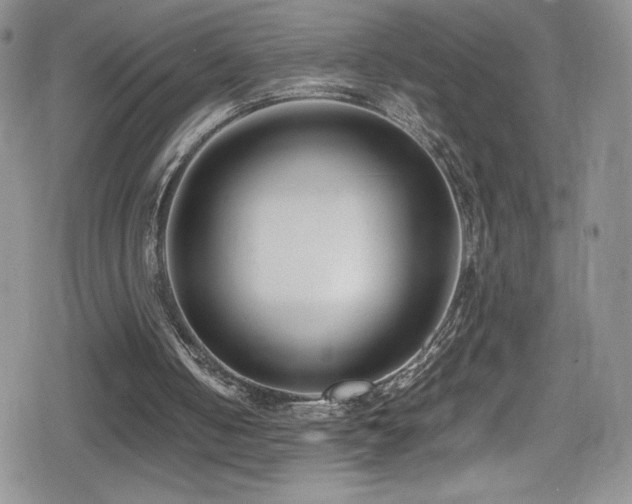 X0000080170050200612081411