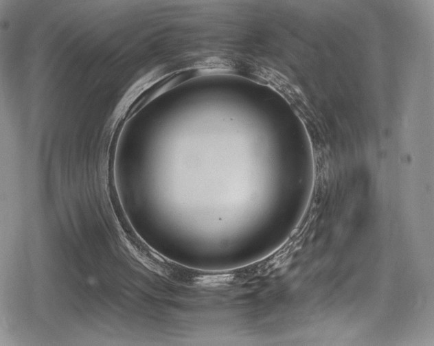 X0000080170051200612081411