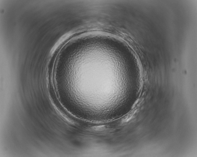 X0000080170054200612081411
