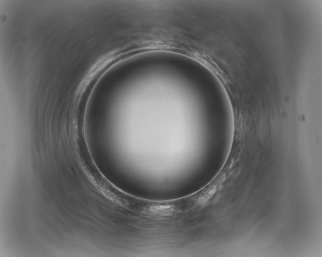 X0000080170055200612081411