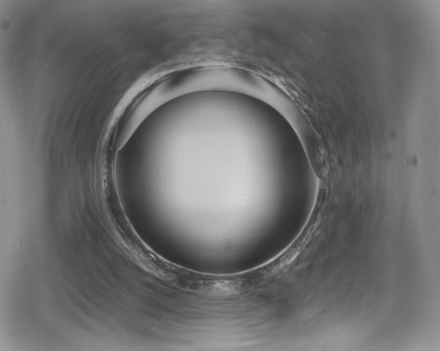 X0000080170056200612081411