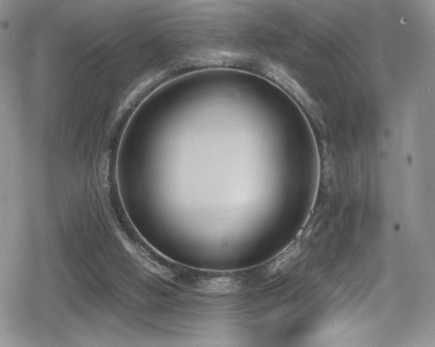 X0000080170058200612081411