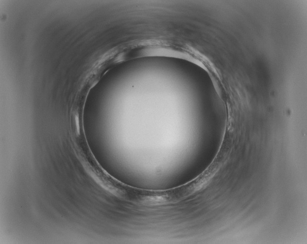 X0000080170061200612081411