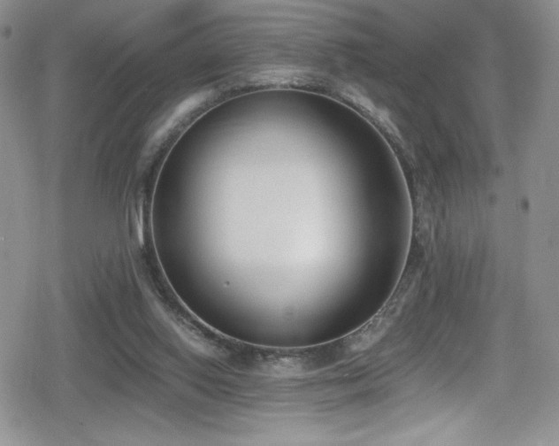 X0000080170062200612081411