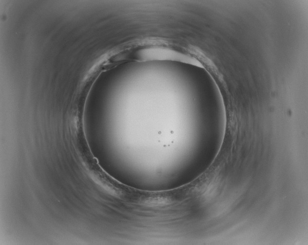 X0000080170063200612081411