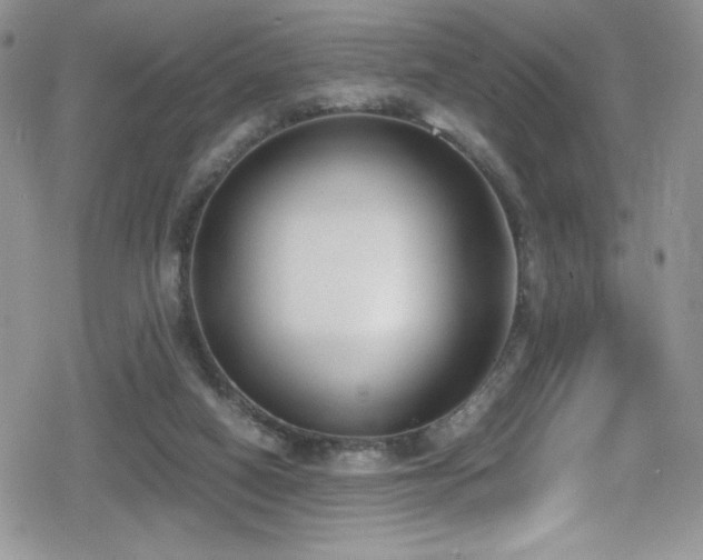 X0000080170066200612081411