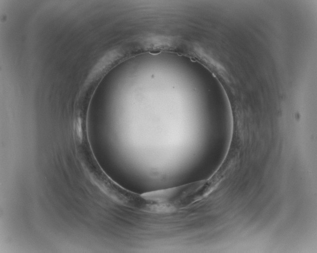 X0000080170067200612081411