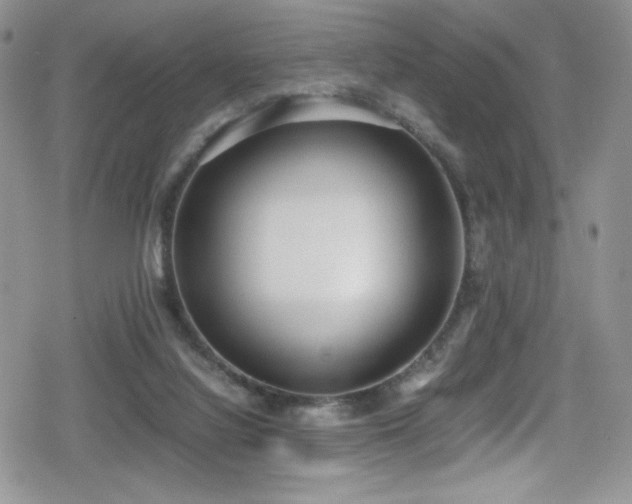 X0000080170068200612081411