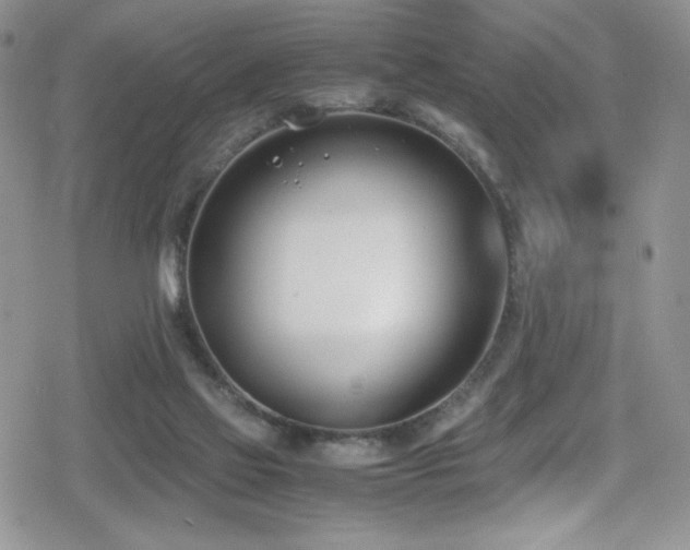 X0000080170069200612081411