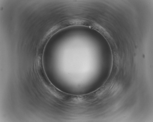 X0000080170071200612081411