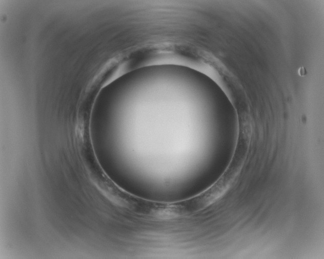 X0000080170072200612081411