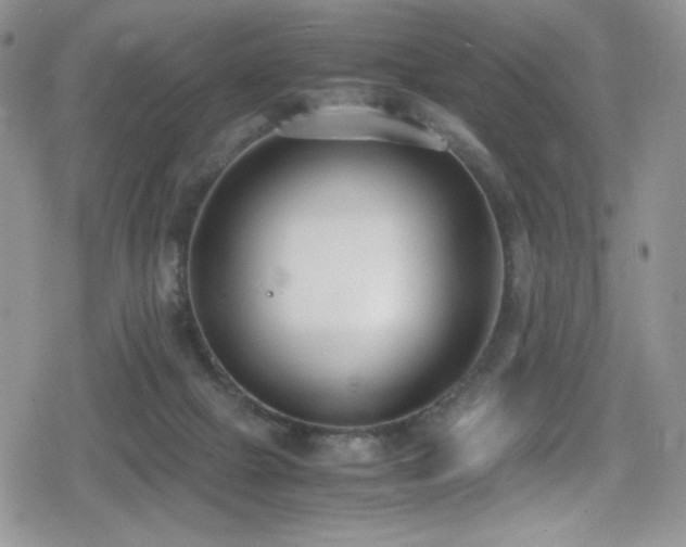 X0000080170073200612081411