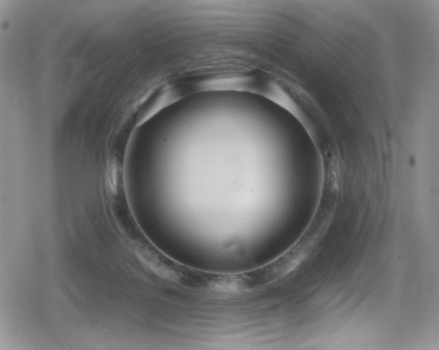 X0000080170076200612081411