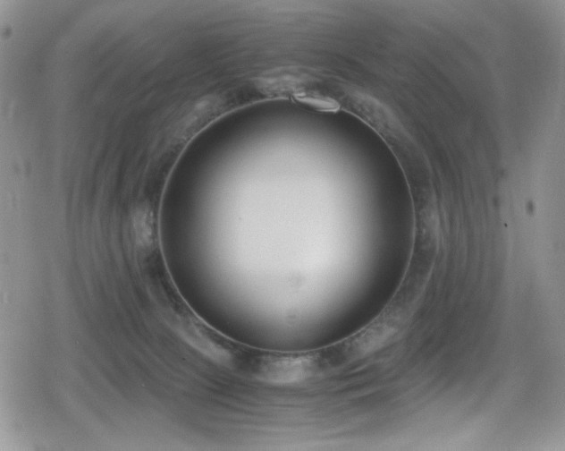 X0000080170081200612081411