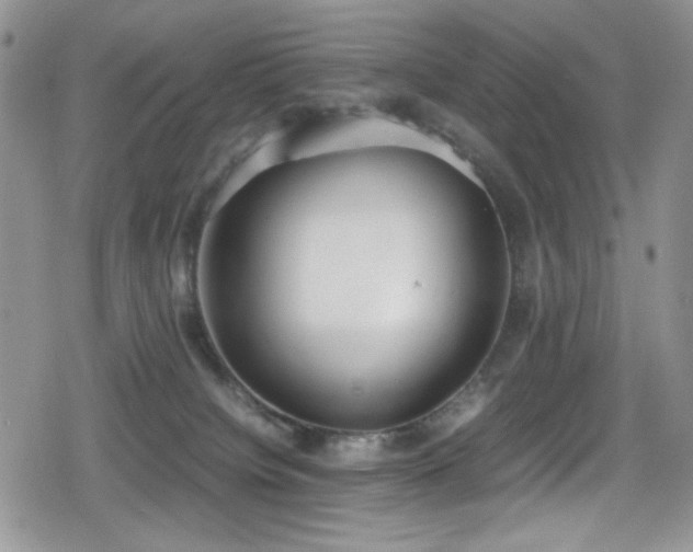 X0000080170084200612081411
